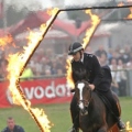 A horse with officer jumping through a ring of fire