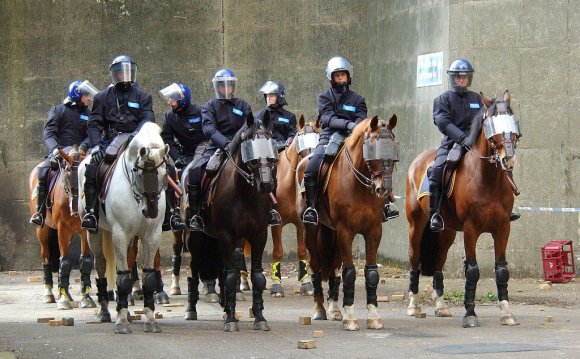Mounted Police groom jobs