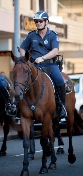 Senior Sergeant Mark Paroz, Officer in Charge Queensland Mounted Police Unit