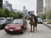 Houston Mounted Police