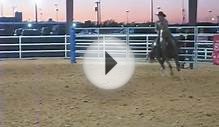 AQHA Mounted Shooting Horse for Sale: Playgirls Pepto