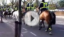 Horse back Police in London