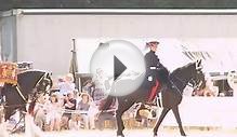 Household Cavalry Mounted Regiment Musical Ride 2013