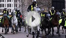 Mounted police charge tuition fees protesters