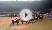 Musical Ride of the Household Cavalry - HOYS 2014 (part 2)