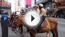 NYPD Mounted Police Unit & Horse Training Unit On 42nd