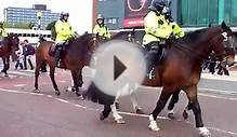 police horses at old trafford