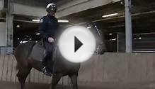 Riding with the Toronto Police Mounted Unit