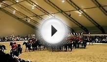 Royal Canadian Mounted Police Musical Ride 加皇家骑警