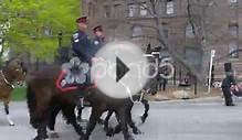 Toronto Police - Mounted Unit Stock Video 49833679 | HD
